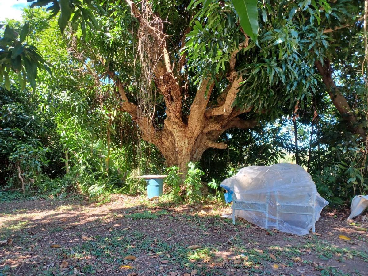 Jubilee Campsite Swim & Paint Las Piedras Extérieur photo