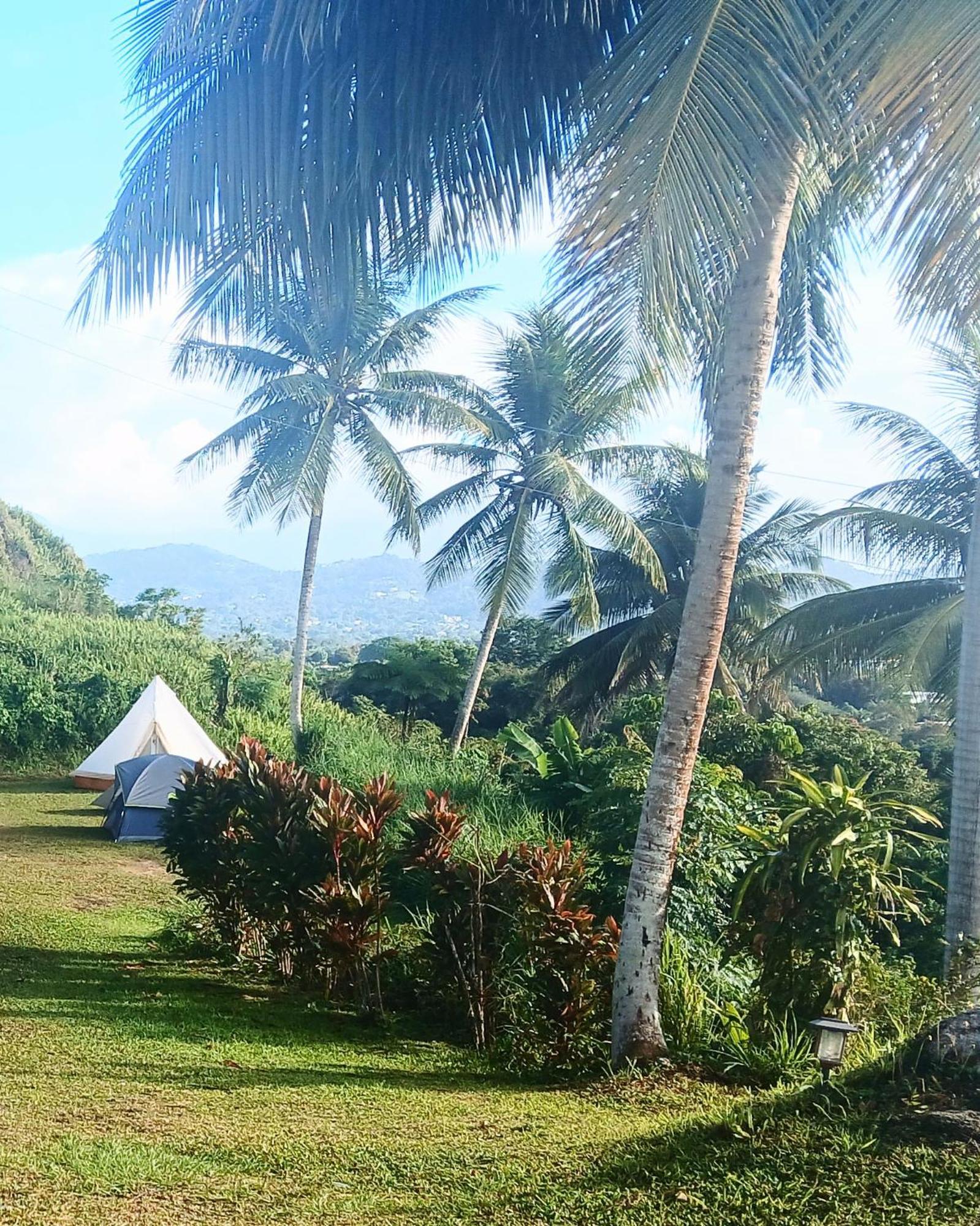 Jubilee Campsite Swim & Paint Las Piedras Extérieur photo